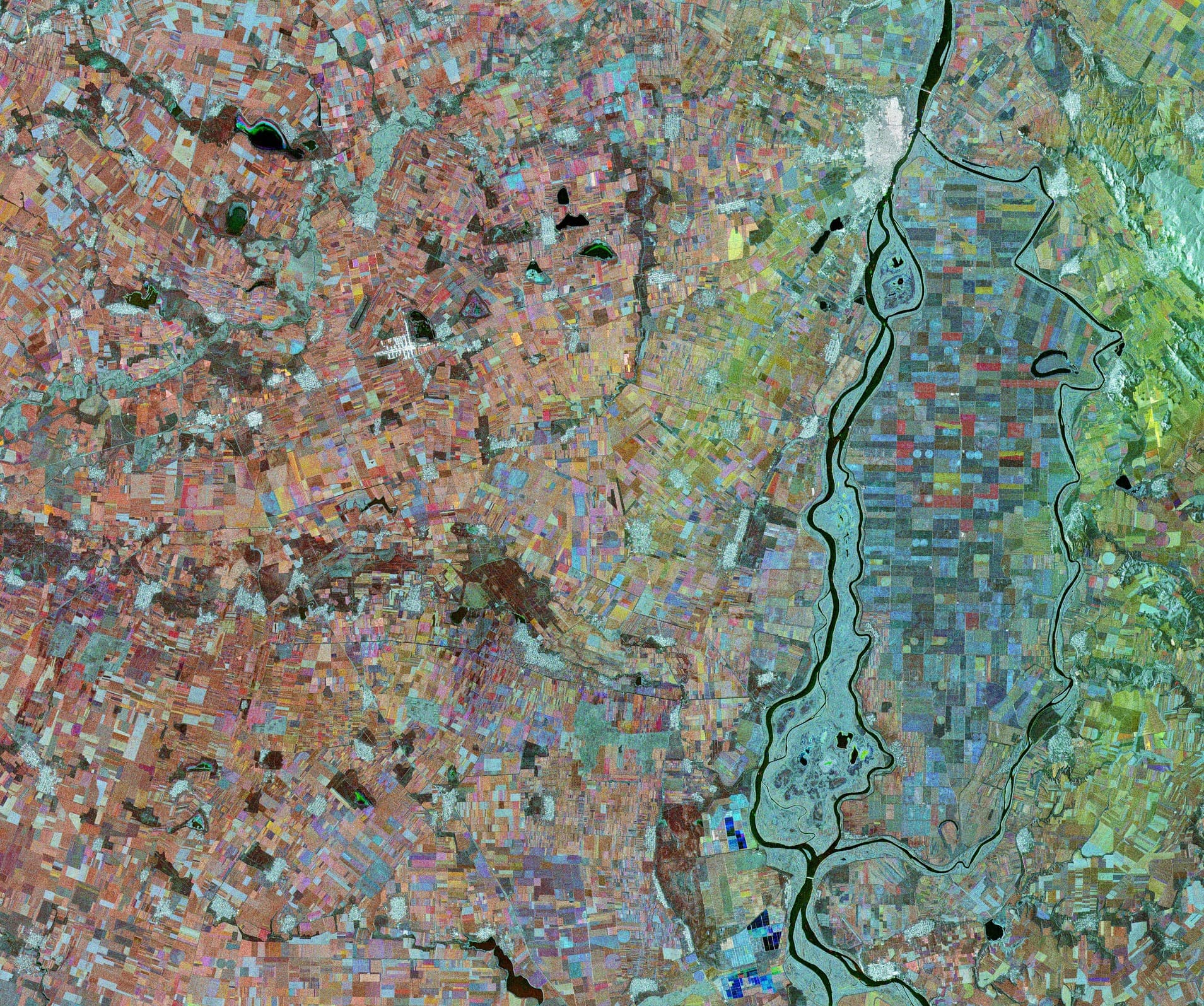 False-color Sentinel-1 radar observation of the Danube and surrounding fields